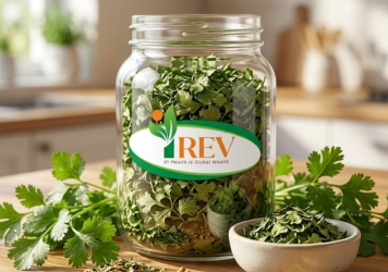 Coriander Dry Leaves